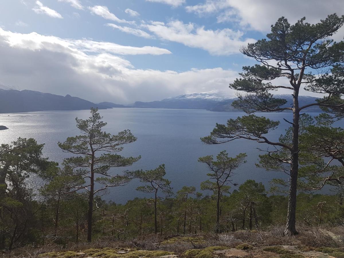 Treehut, nature, birds, silence&fjord Samlanes Eksteriør bilde