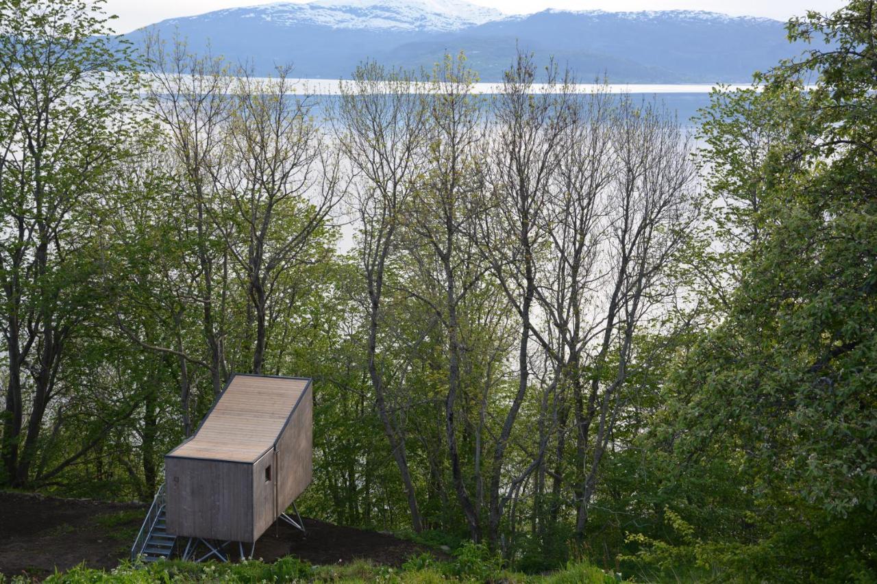 Treehut, nature, birds, silence&fjord Samlanes Eksteriør bilde
