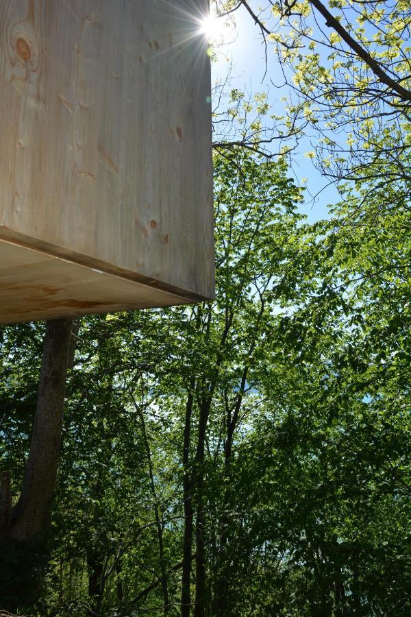 Treehut, nature, birds, silence&fjord Samlanes Eksteriør bilde