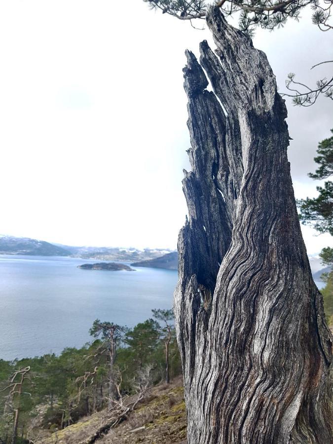 Treehut, nature, birds, silence&fjord Samlanes Eksteriør bilde